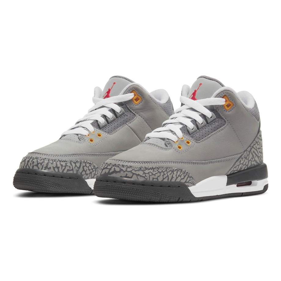 Air Jordan 3 Cool Grey SneakerSafe