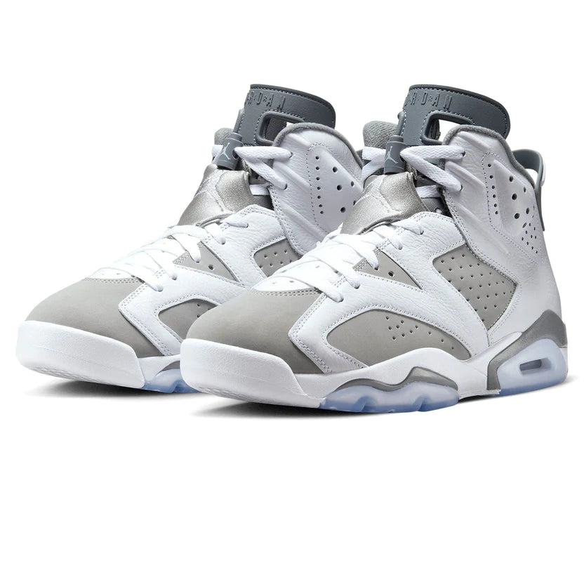 Air Jordan 6 Cool Grey SneakerSafe
