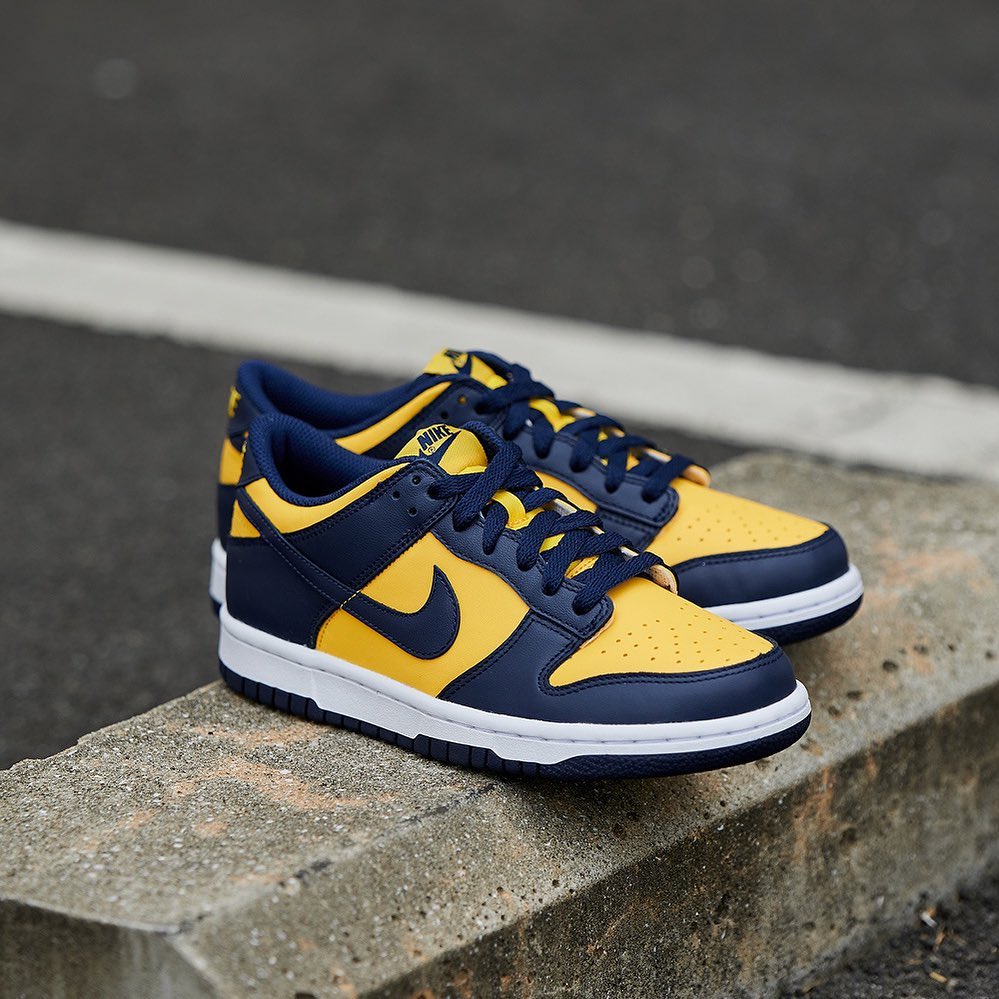 Nike Dunk Low “Michigan” top